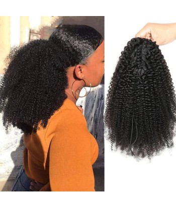 Cola de caballo de cola negra con alicates naturales Remy Hair Afro Curly acheter