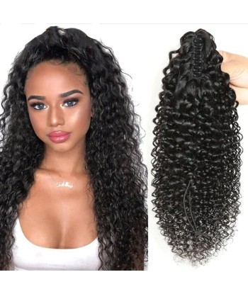 Zwarte paardenstaart paardenstaart met natuurlijke tang Remy Hair Kinky Curly rembourrage situé sous